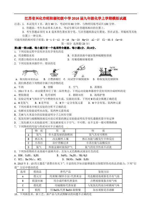 江苏省兴化市昭阳湖初级中学九年级化学上学期模拟试题