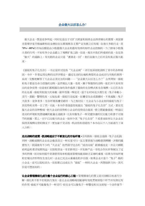 企业做大以后怎么办.bin