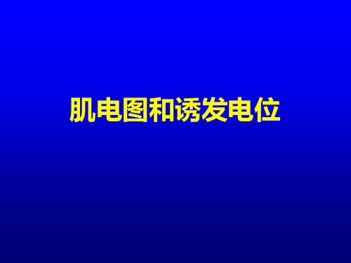 5-肌电图和诱发电位--赵文为资料