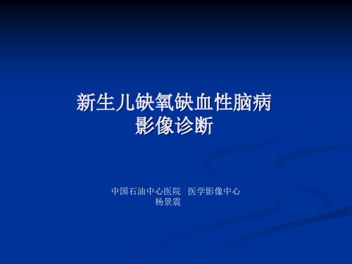 新生儿缺氧缺血性2014-11
