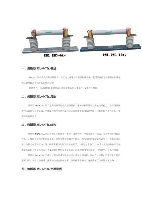 熔断器RN1-6-75A