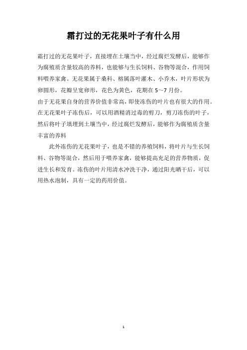 霜打过的无花果叶子有什么用