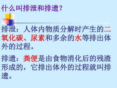 济南版七下第四章第一节尿的形成和排出课件(共16张PPT)