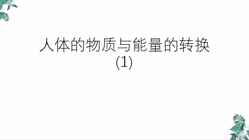 浙教版科学中考复习人体的物质与能量的转换(1)(41张)