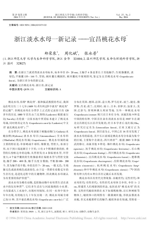 浙江淡水水母一新记录_宜昌桃花水母