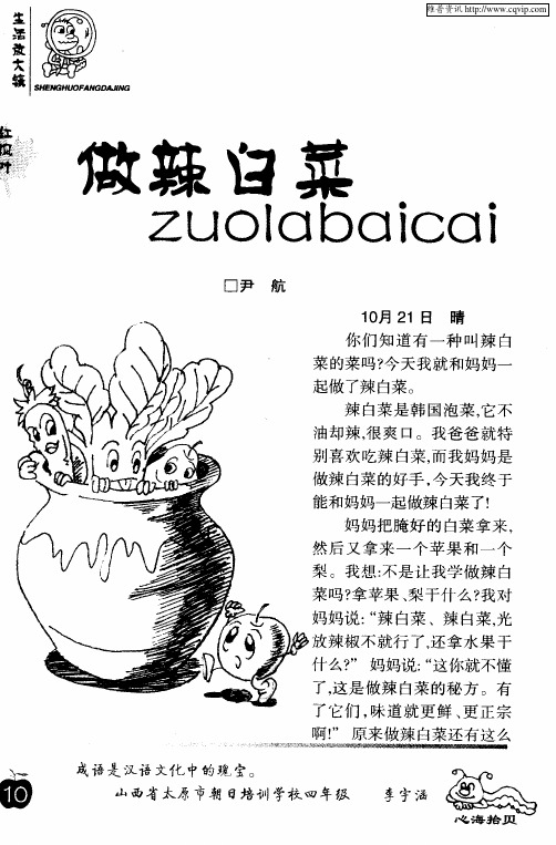 做辣白菜