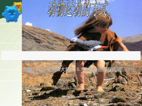 生物初二上北师大版5.15.2动物运动的形成精品资料.ppt