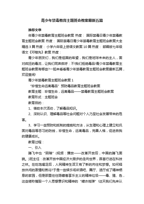 青少年禁毒教育主题班会教案最新五篇