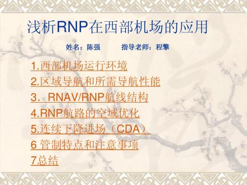 浅析RNAV-RNP在西部机场的应用