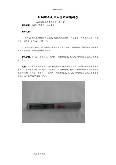 教具的制作(红细胞在毛细血管中运输模型)