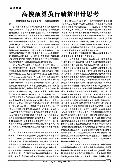 高校预算执行绩效审计思考