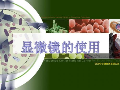显微镜的结构和使用ppt
