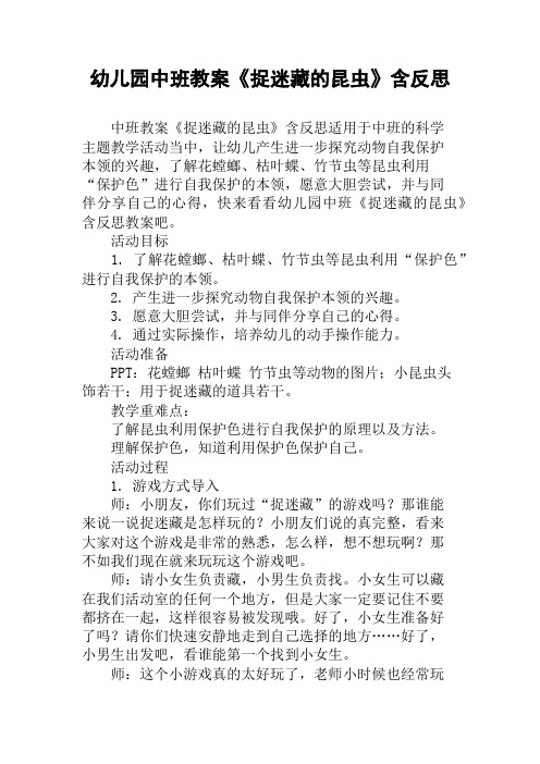 幼儿园中班教案《捉迷藏的昆虫》含反思