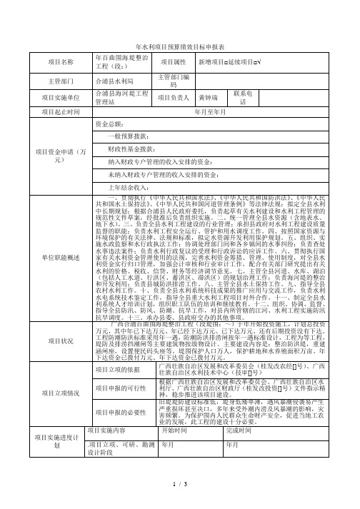 年水利项目预算绩效目标申报表
