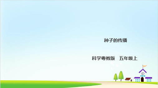 五年级上-1《种子的传播》l 粤教版(共30张PPT)