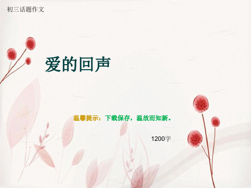 初三话题作文《爱的回声》1200字(总13页PPT)