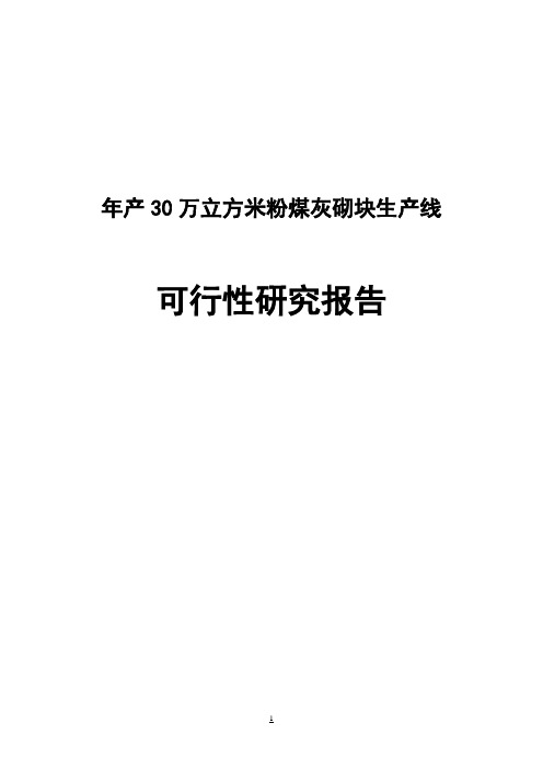年产30万立方米粉煤灰砌块生产线可行性研究报告(终稿)