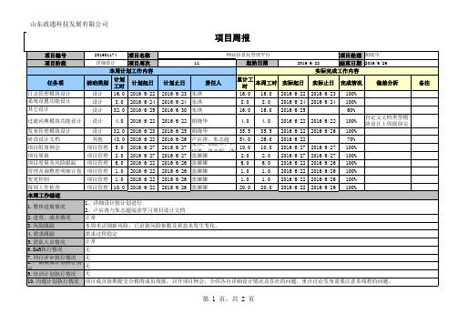 网站信息化管理平台-项目周报