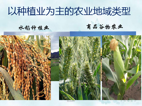 人教版高中地理必修2第三章 农业地域的形成与发展第二节 以种植业为主的农业地域类型课件