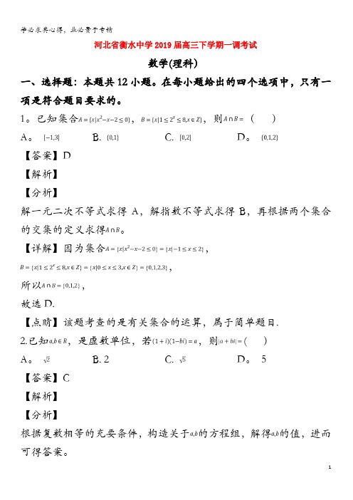 衡水中学2019届高三数学下学期一调考试试题 理(含解析)