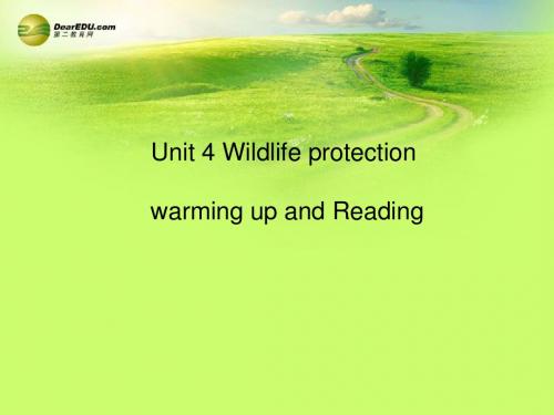 高中英语 Unit 4 Wildlife Protection warming up and reading 课件 必修2