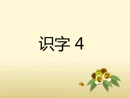 一年级上册语文课件《识字 4》∣湘教版() (共11张PPT)