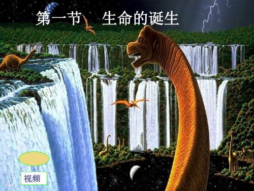 苏教版八年级上册生物第五单元第十六章第一节生命的诞生(共18张PPT)