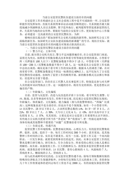 当前公安监管民警队伍建设方面存在的问题