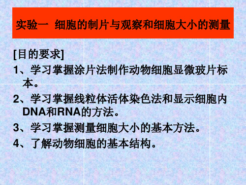 医学-细胞制片与观察和细胞大小测量