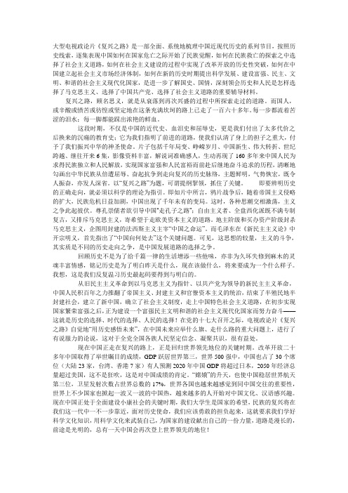 大型电视政论片
