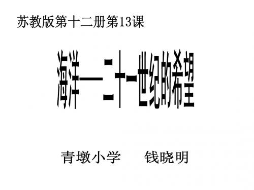 海洋——二十一世纪的希望