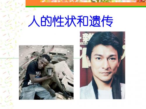 人的性状和遗传ppt3