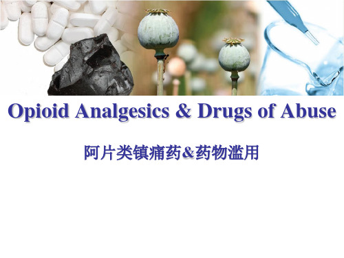 药理学教学课件：阿片类镇痛药 药物滥用
