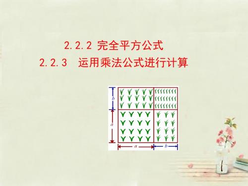 【最新湘教版】七年级数学下册：2.2.2-2.2.3课件