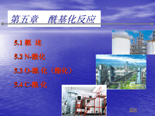 精细有机合成单元反应_05酰基化反应