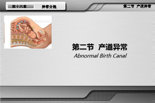 产道异常-精品医学课件