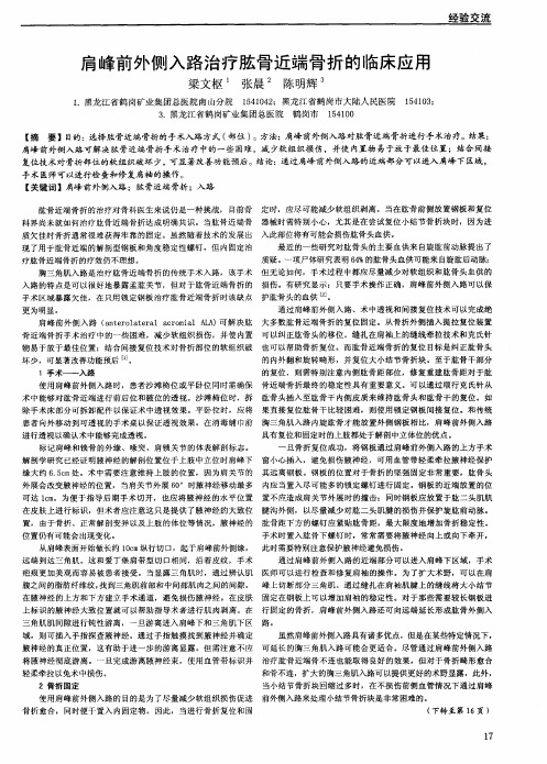 肩峰前外侧入路治疗肱骨近端骨折的临床应用