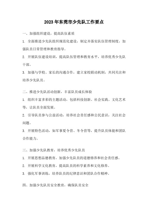 2023年东莞市少先队工作要点