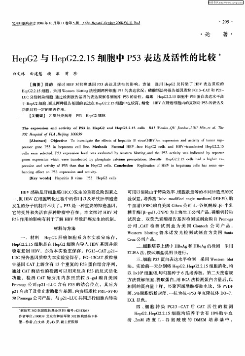 HepG2与HepG2.2.15细胞中P53表达及活性的比较