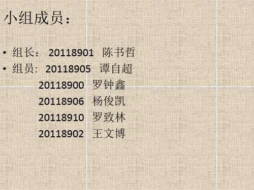比亚迪公司的财务指标分析