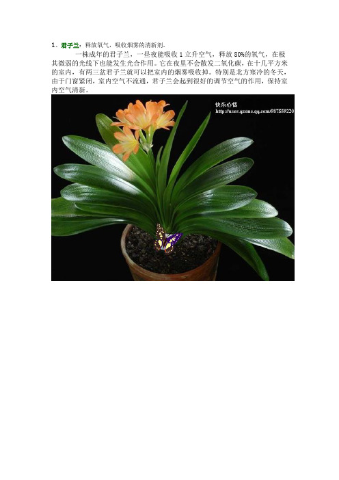 花经(室内空气净化剂)