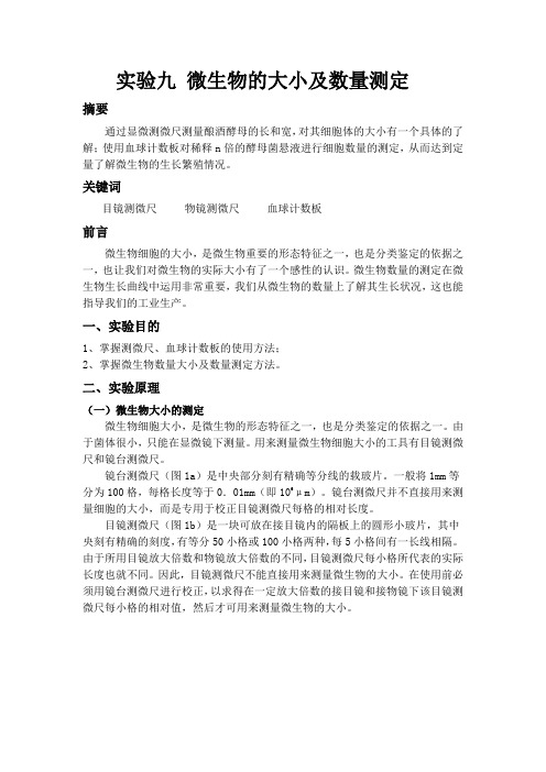实验九    微生物的大小及数量测定