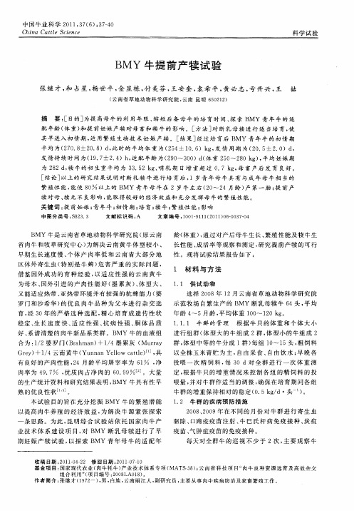BMY牛提前产犊试验