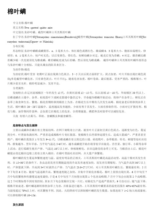 棉叶螨