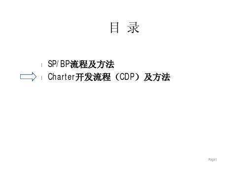 CDP开发流程(组织、流程、活动)