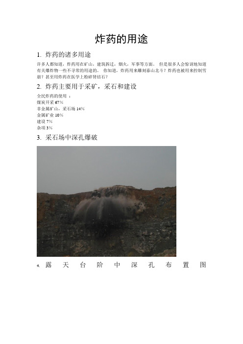 弹药10-1 车颖利