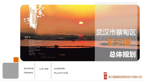 索河总规PPT介绍