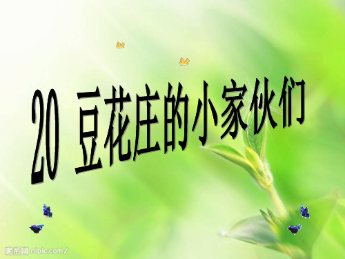 20.豆花庄的小家伙们(第二课时)PPT课件