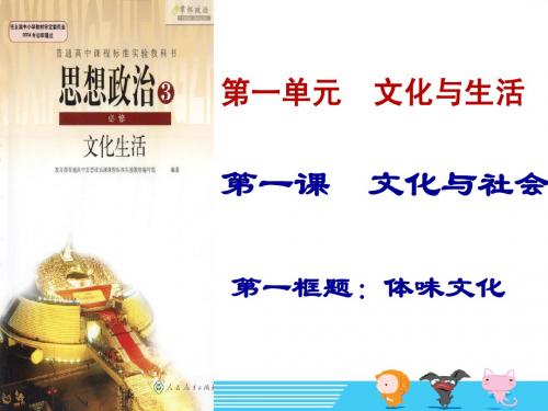 文化生活 第一单元 第一课 体味文化