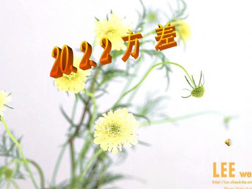 5.2.2 方差 课件(新人教版八年级下)